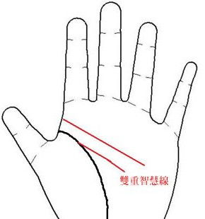 智慧线的末端形态：决策机制与心理预期的分析