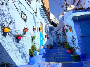 5. 纽约——不眠城的快节奏狂欢