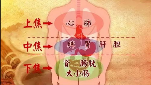 1. 体针疗法与穴位选取