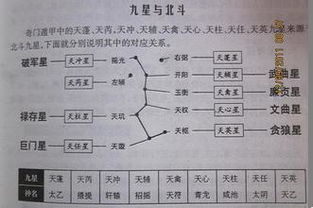 局限性与注意事项