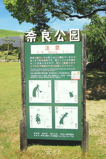 免费入园？隐藏费用揭秘