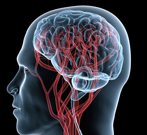 一、  医学与生理学视角下的汗毛漩涡成因