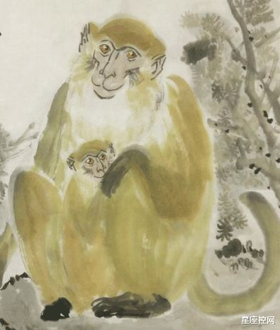 1. 属猴（申猴年）女性之命运特征及其潜在贵人