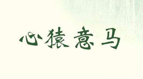 现在还有多少人相信八字算命，心猿意马的人会去算命吗？