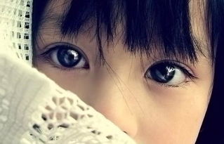 综合面部特征与情感稳定性的多维评估方法