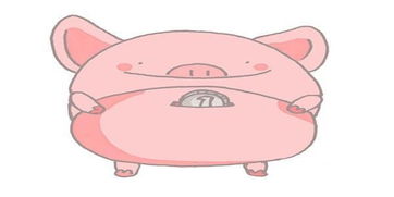 属猪人10月运势如何，10月至11月运势变化大不大？