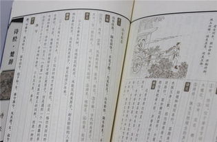 《楚辞》里的灵感：别出心裁的名字