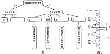 四、  人生轨迹的坎坷与生存机制的筛选