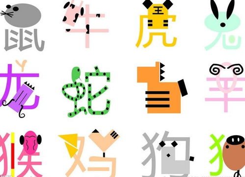 十二生肖2024年婚姻运势如何？生肖婚姻现状分析是什么？