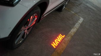 (3) 属虎（寅宫）群体——重点提示