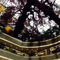 厕所惊魂：生理极限的挑战