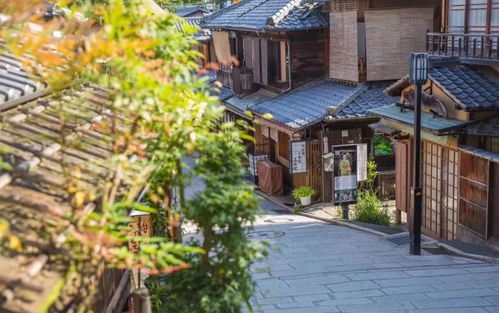 景点：让你大开眼界的“惊喜”（惊吓）