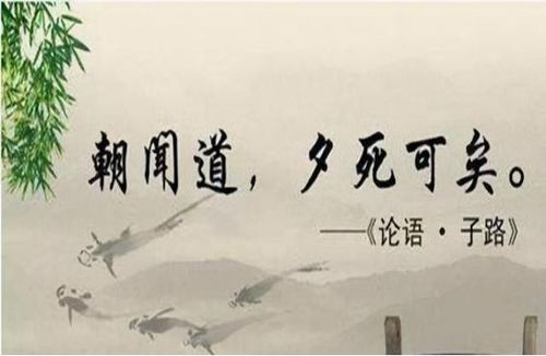 屿夕：一字多象，文化深意藏于云端