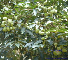 （二）促进家庭和睦、 增强人际和谐