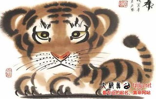流年冲击的具体表现