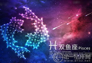 哪些星座在爱情路上容易遇到坎坷和挑战？