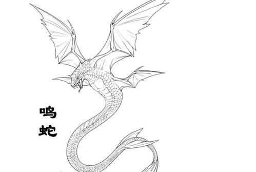 十二生肖中，哪个山海经猛兽的由来，竟如此神秘有趣？