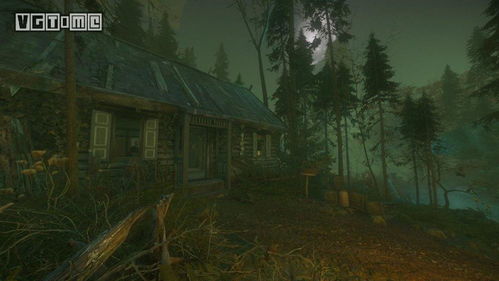 异常现象：枪支异动与诡异馈赠