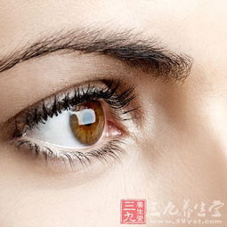 综合探讨：从更多维视角审视眉心跳动
