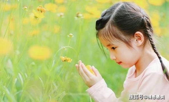 苏姓的渊源：你知道你家祖上是谁吗？（好像跟起名没啥关系？）