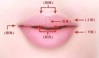 二、 财运层面：财富积累的不确定性