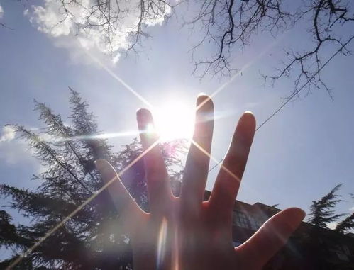 积极向上：正能量吸引法则的实践