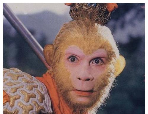 门票价格暗藏玄机！属猴的能打骨折价！