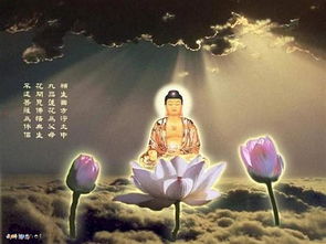 我梦到带的佛为什么突然发光了呢？
