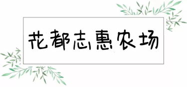 1. 嫽（yáo）字之左右结构及审美效应