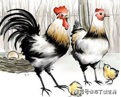 二、 属鸡的买房子该往哪儿瞅？