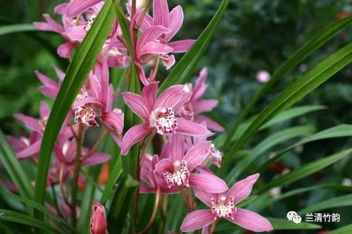 北方方位：水木相生与阴阳调和