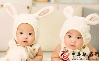 第二步：结合食物的名字