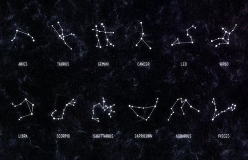 哪些十二星座的人购物只看重品牌，不关心商品真假？