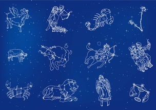 白羊座：冲劲十足的行动派