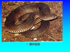 一、 先说山——山不在高，有情就行