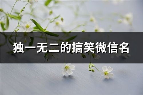 生肖运势与微信昵称深度匹配策略