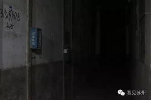 四、 制度规范与现场操作失误之关联性分析