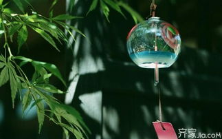 美学价值：装饰空间与提升格调