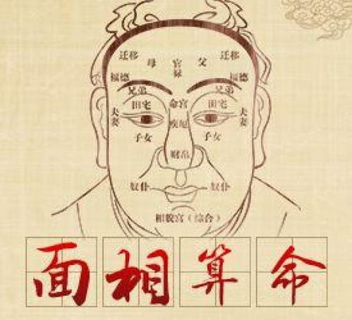 抖音上那位看八字特别准的人，他的分析准确度如何？