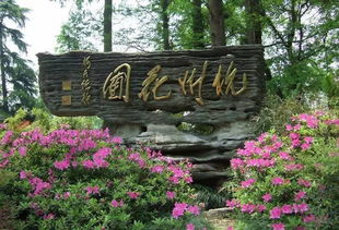 杭州花圃门票省钱秘籍大揭秘！2026年去之前必看这篇！