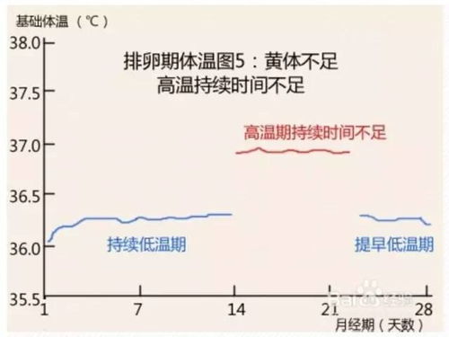 了解排卵期