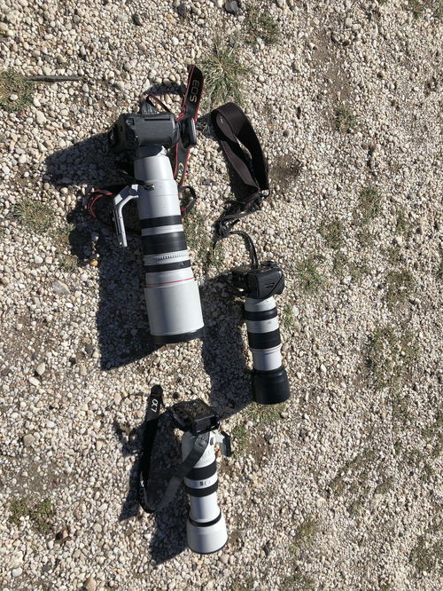 带娃出门拍照简直是脑子进水了 但我还是买了这些破烂