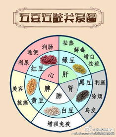 人体关联：健康警示