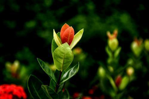 哪个属相的女生既风趣幽默又柔情似水，蕞受男士欢迎呢？