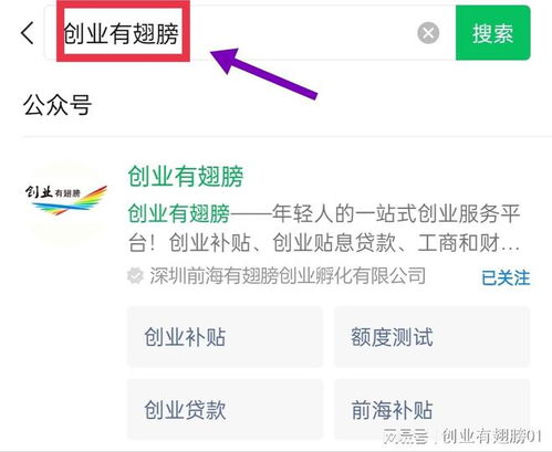 案例概述与探究背景