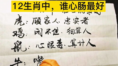 核心结论概述