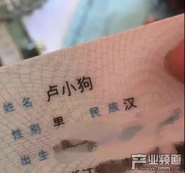 姓名学与起名的注意事项
