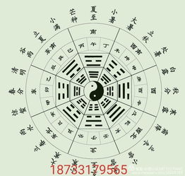 一、 易经卦象之阴阳结构及其整体不变性