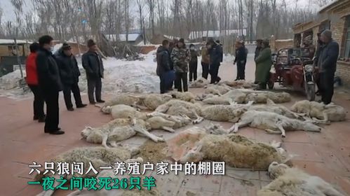 事后的余波