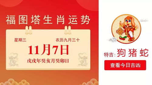 四、 吉日选取的生肖冲煞与五行命理分析